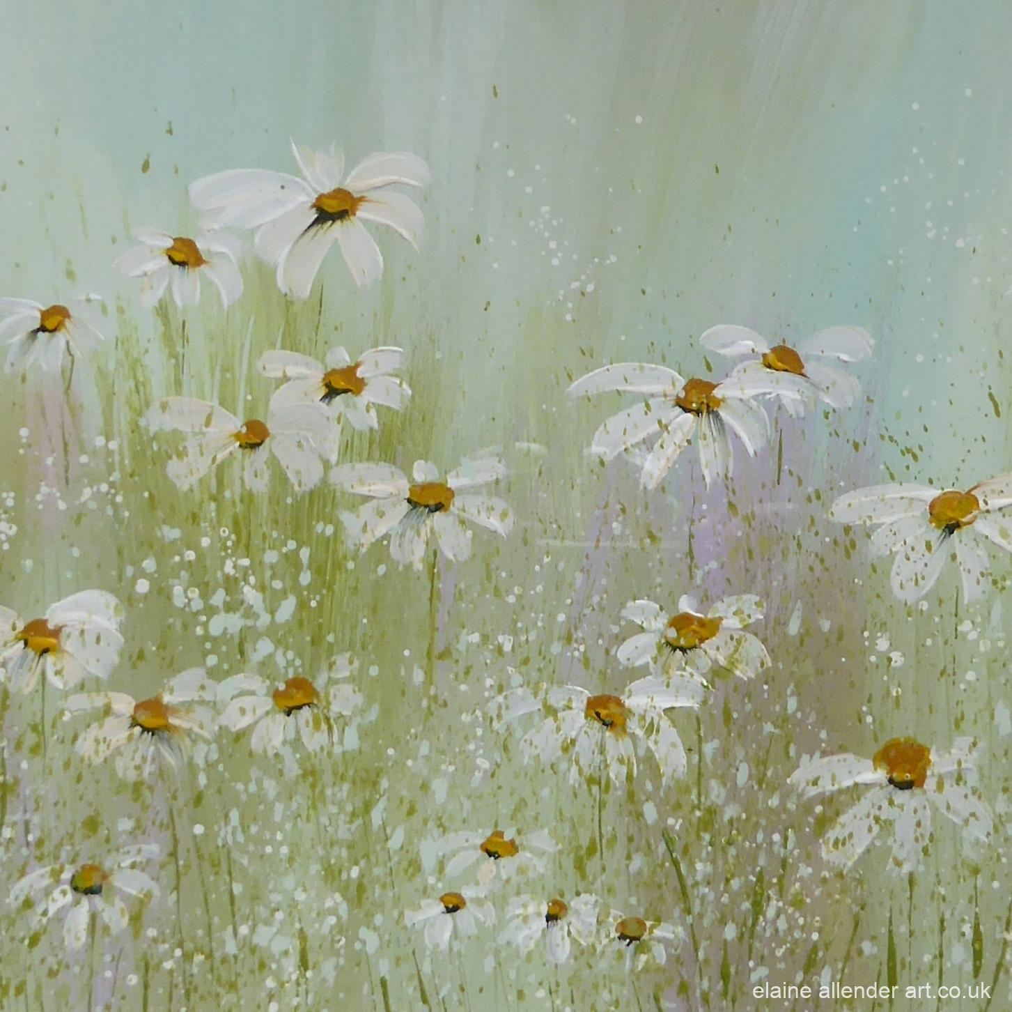 Peppermint Daisies